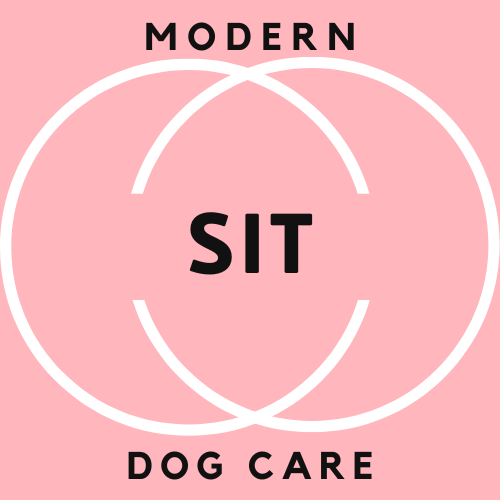 Modern Sit Dog Care Logo